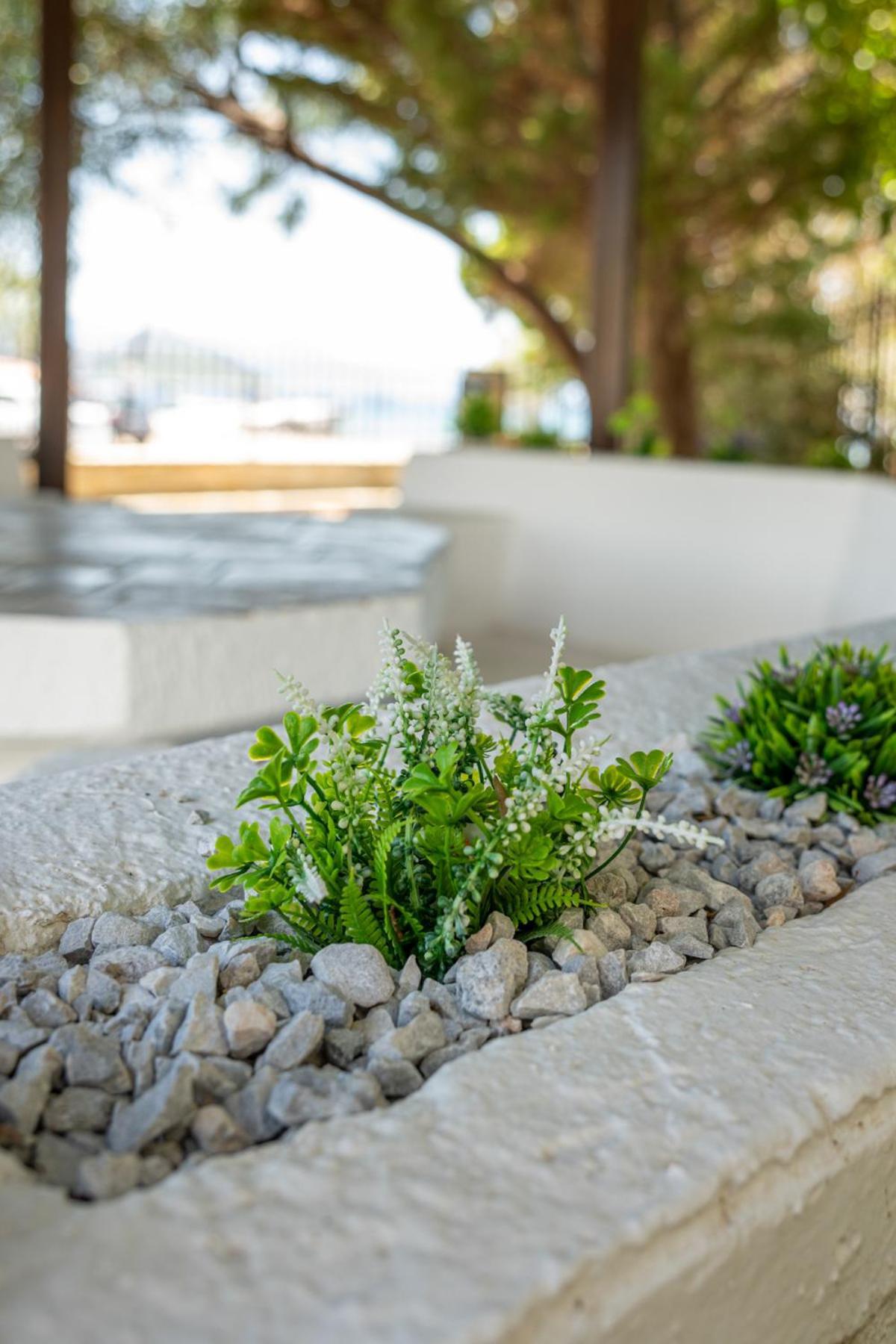 Alkis Guest House By Aegiankazarte Kapotidhes Exterior foto